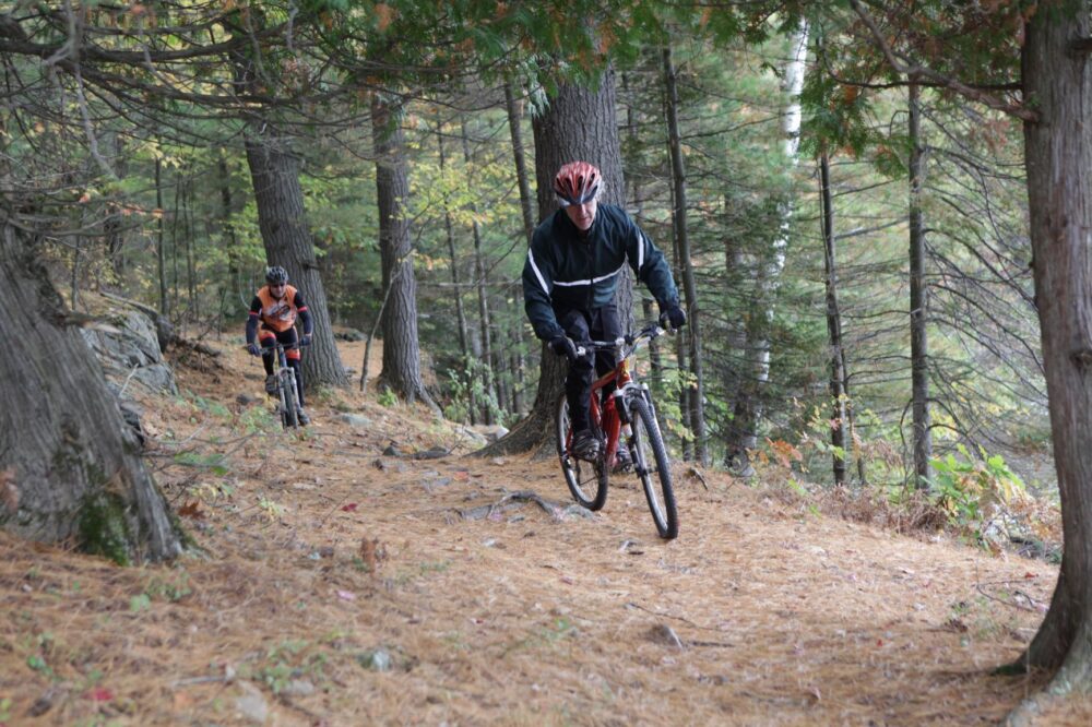 Two cyclists mountain biking through a forest