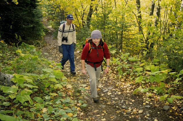 Deux randonneurs marchant dans les bois en automne