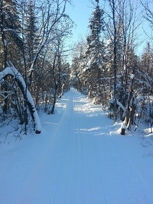Snowy trail.
