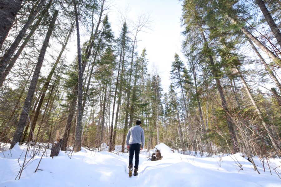 Person hiking on trail in snow covered forest
