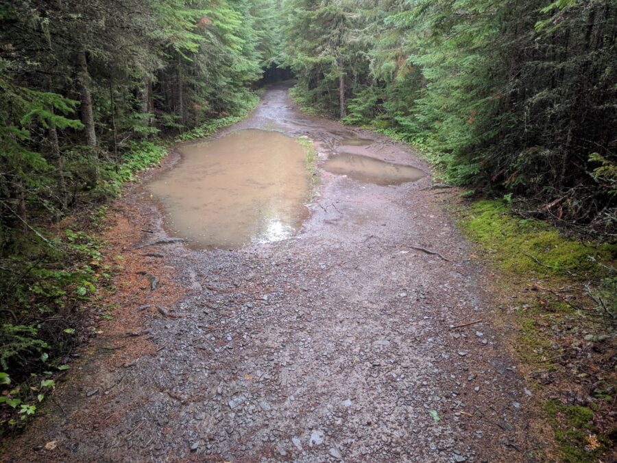 View of trail with large puddle and mud