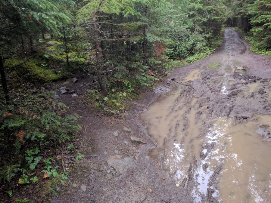 View of trail showing widening of path and mud and water