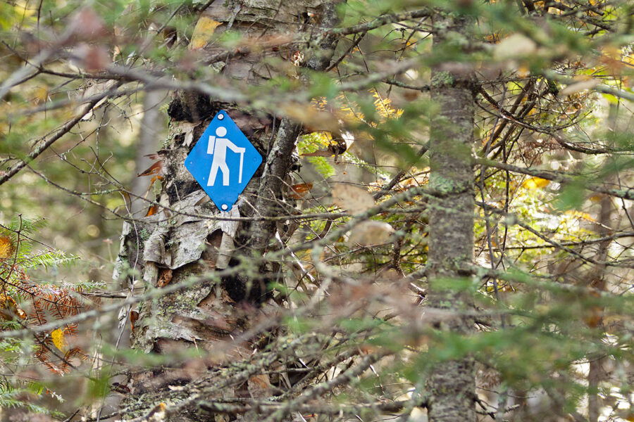 Hiking trail marker sign on tree in forest