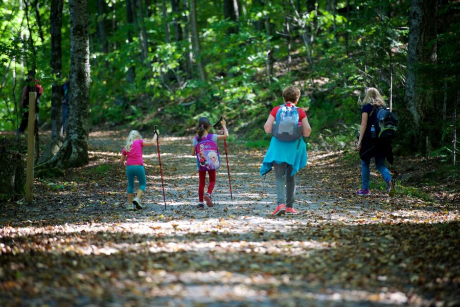 Enfants et adultes en randonnée dans la forêt