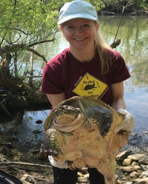 Sue Carstairs holding large Snapping Turtle