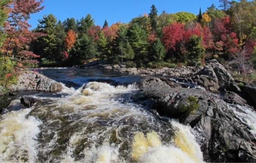 Waterfall with fall-coloured trees at Chutes Provincial Park.