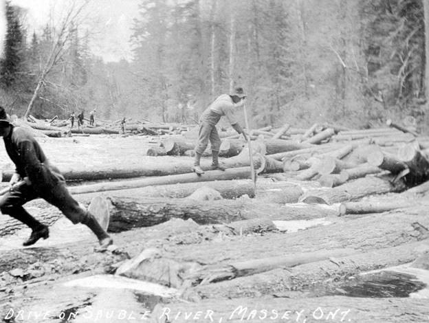 An old black and white photo of lumberjacks freeing logs on Aux Sables River.