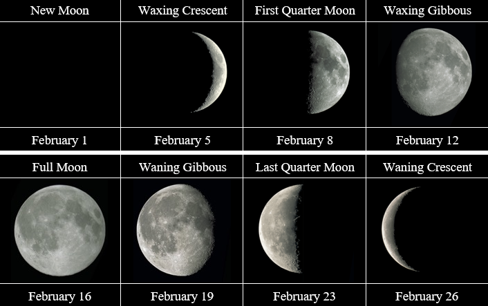 Chart of moon phases.