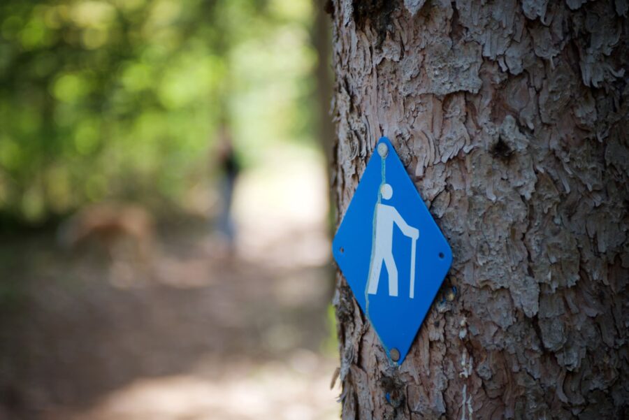 Indicateur de sentier de randonnée sur un arbre dans la forêt