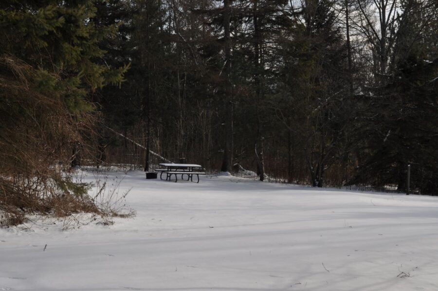 emplacement de camping en forêt, sous la neige
