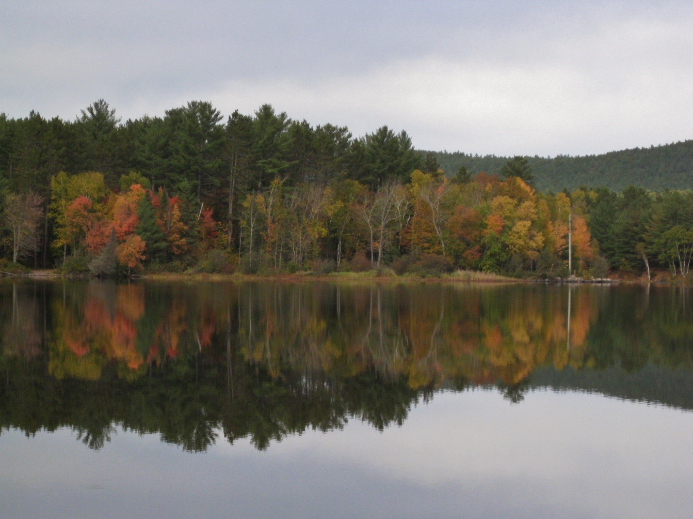Fall colours and a lake.