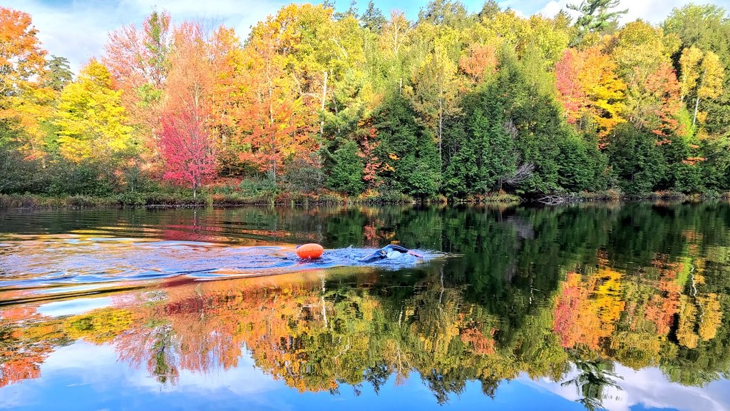 A swimmer in the water in the fall. 