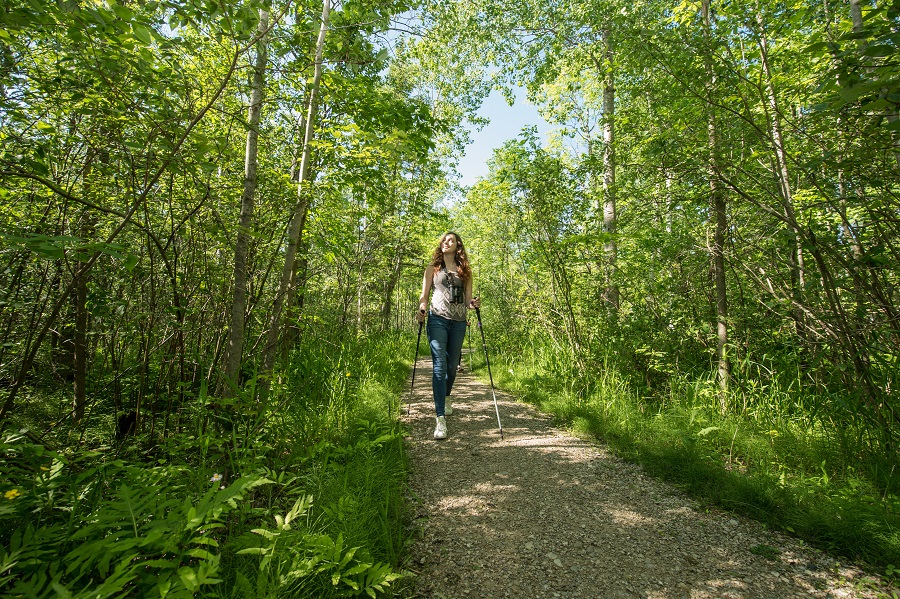 A woman walking on a trail with hiking poles in the summer.
