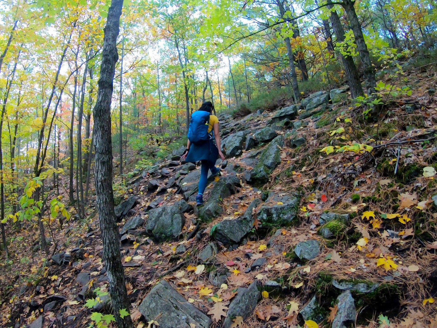 Diana Lee hiking a rocky trail. 
