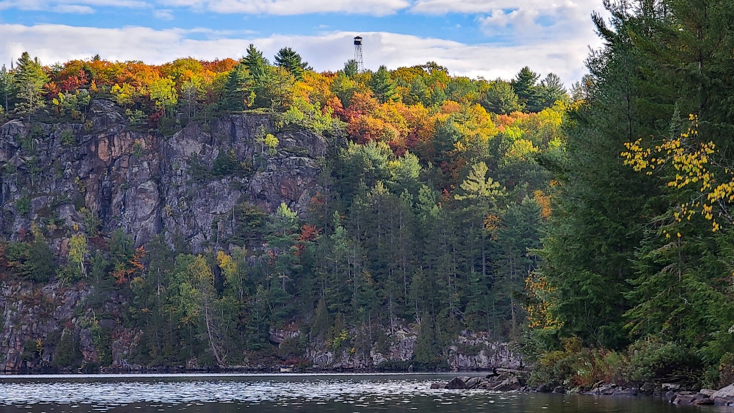 A rockface topped with fall trees.