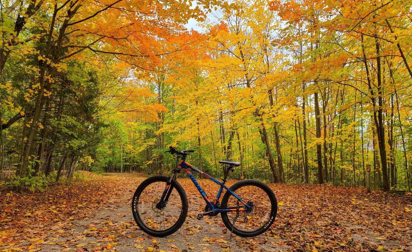 A bike on a trail in the fall. 