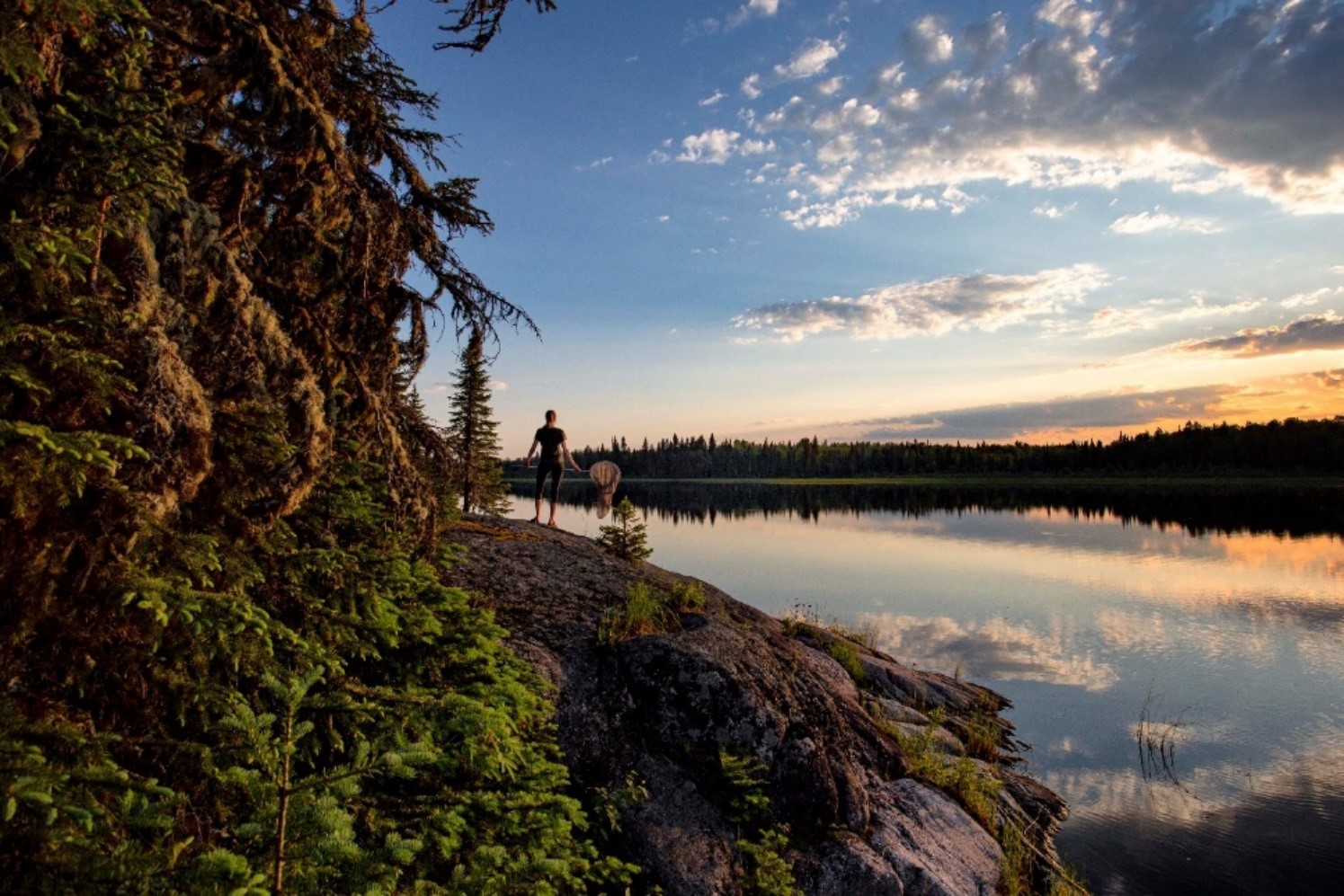 Une personne tenant un filet à libellule, sur le bord d’un lac au coucher du soleil.