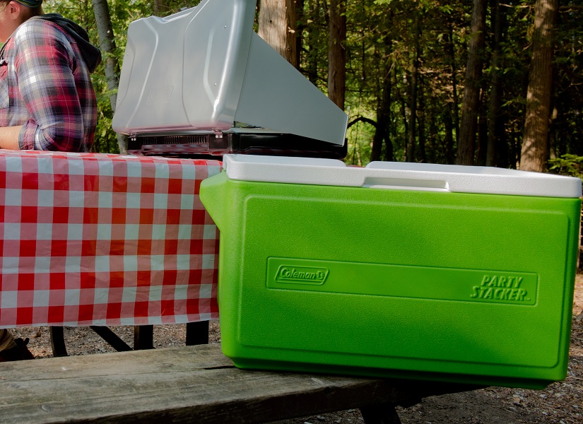 Cooler on picnic bench