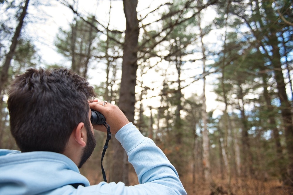 person birdwatching with binoculars