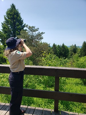staff looking through binoculars