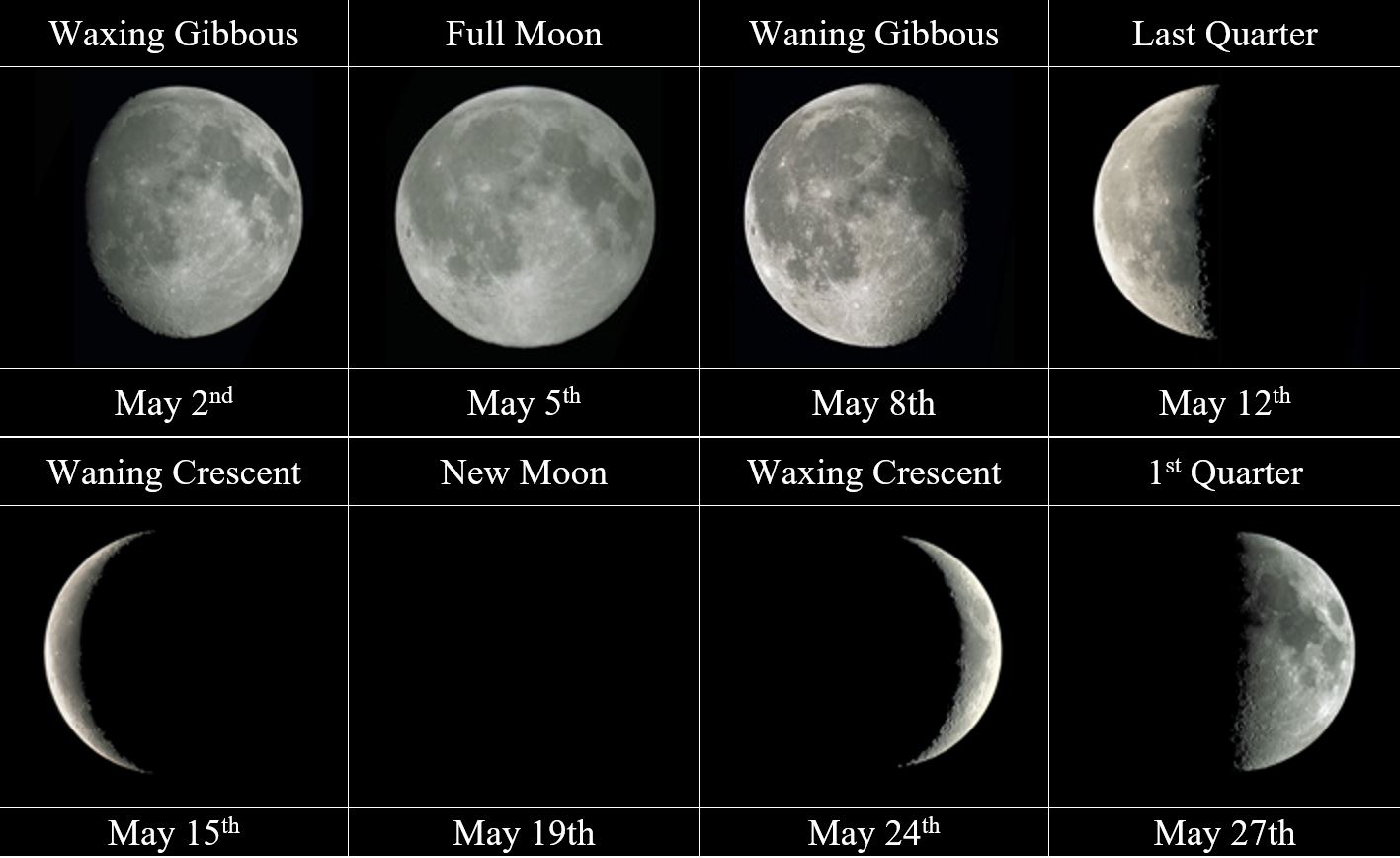 may lunar calendar