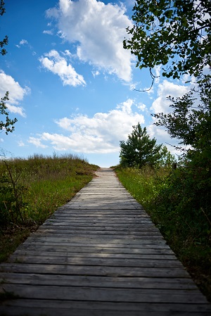Uphill trail to the beach, 
