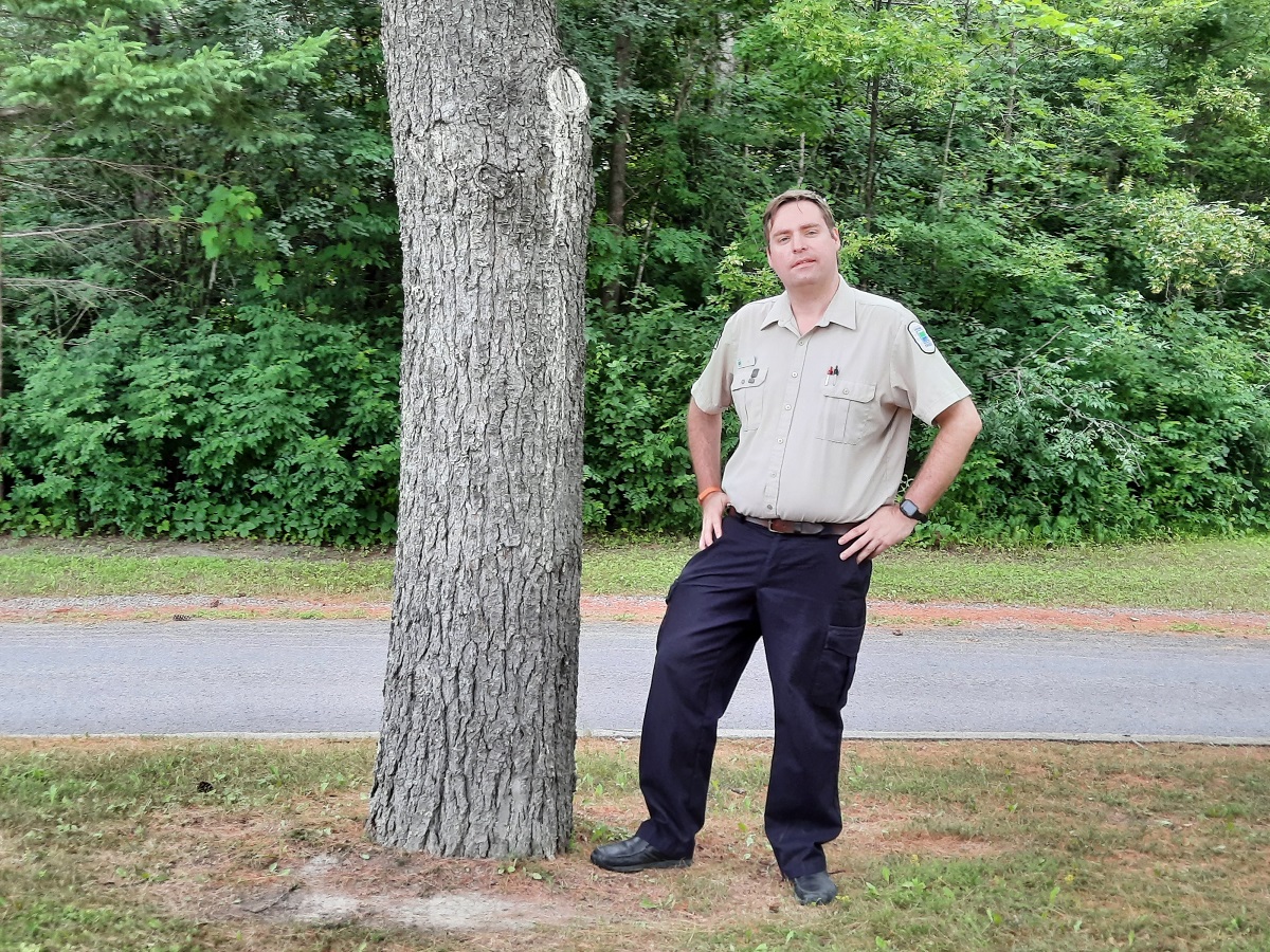 park ranger standing beside tree