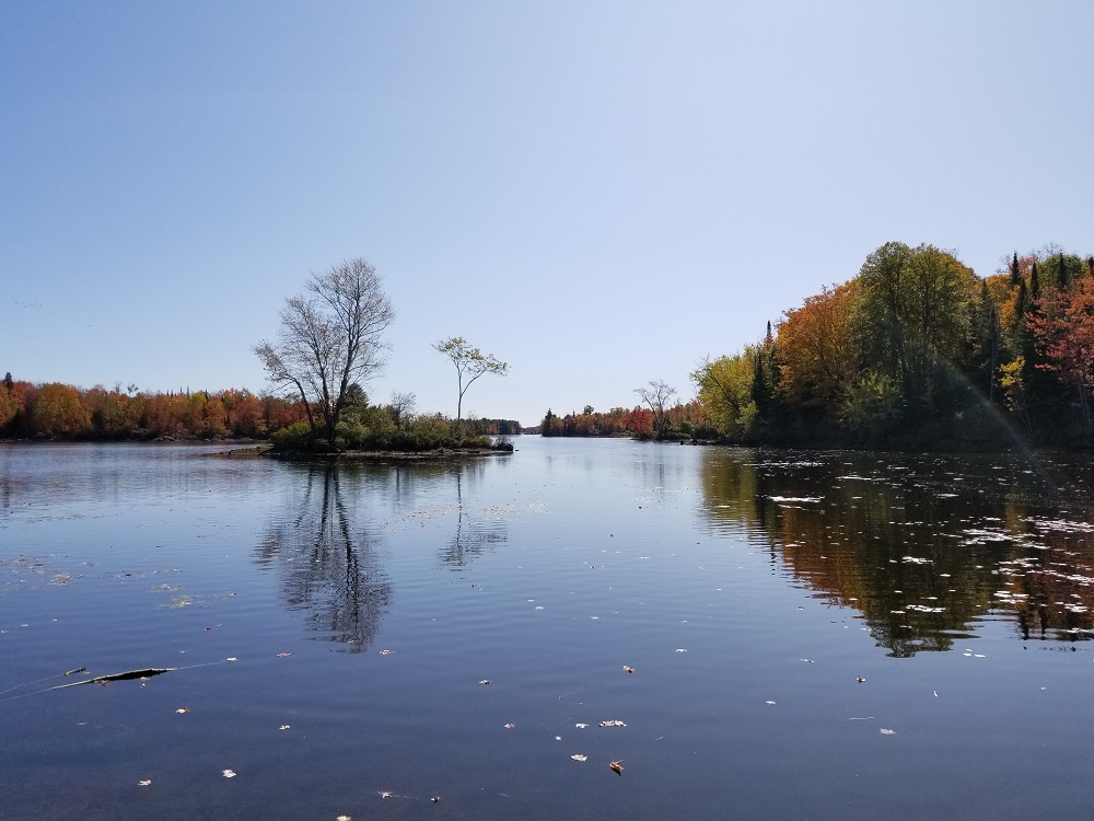 Réserve de conservation Lingham Lake