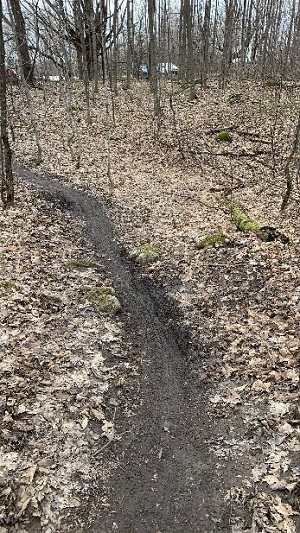 muddy trail