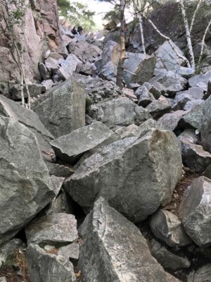Éboulis de rocailles