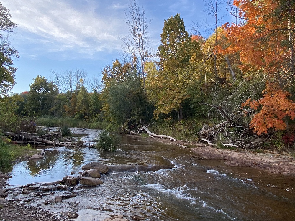 fall colours along creek
