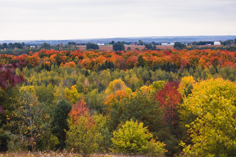 Une vue des couleurs d’automne.
