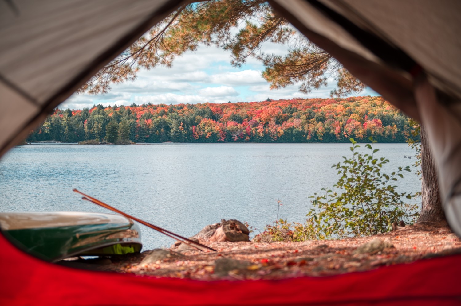 Vue depuis la porte d'une tente ouverte, sur un lac calme et la rive lointaine, où les arbres changent de couleur, passant du vert au rouge, au jaune et à l'orange.