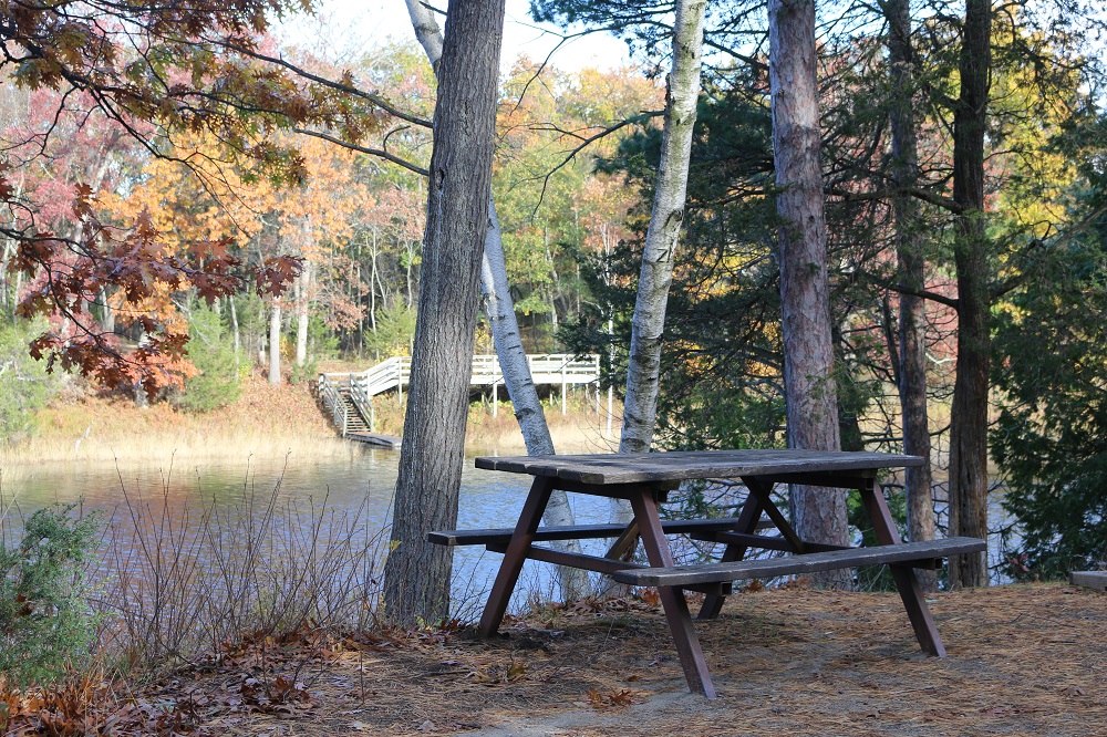 picnic table on shore