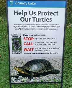 turtle monitoring sign
