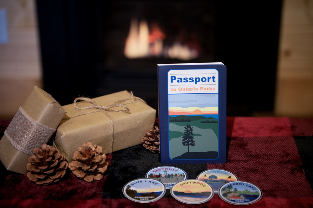 passport and stickers in front of fireplace