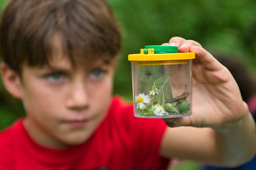 Un enfant tenant un insecte dans un contenant.