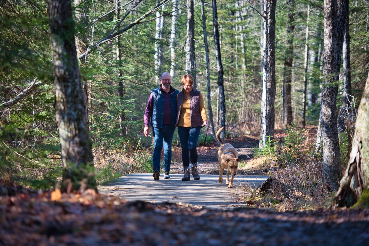 Man and Woman walking with leashed dog in the woods