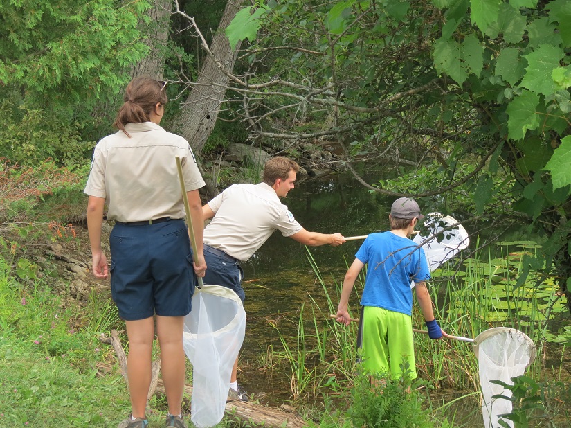 Park staff and child examine a wetland/.