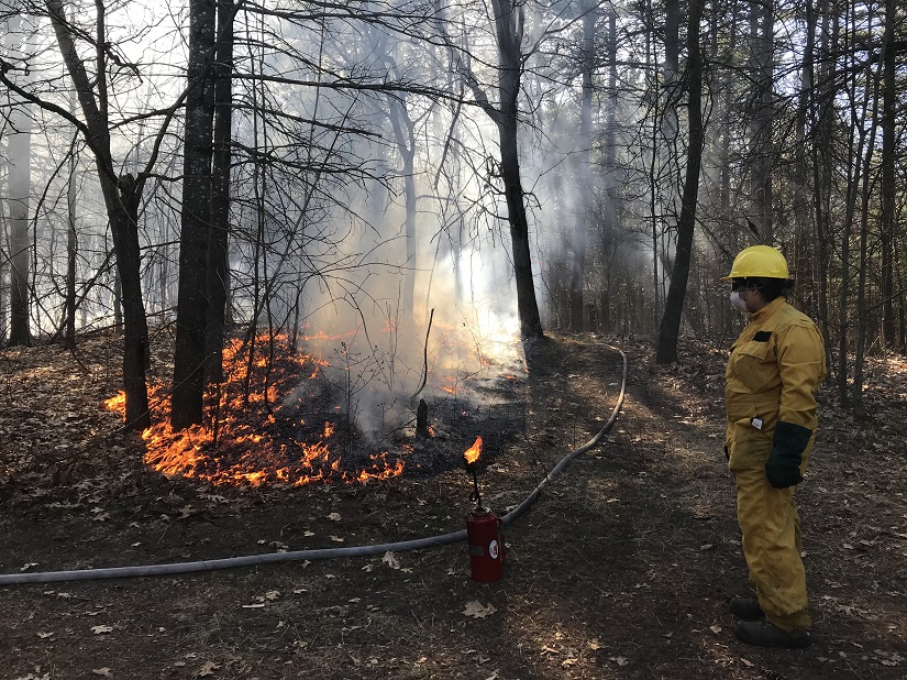 Staff in fire gear next to a forest on fire.