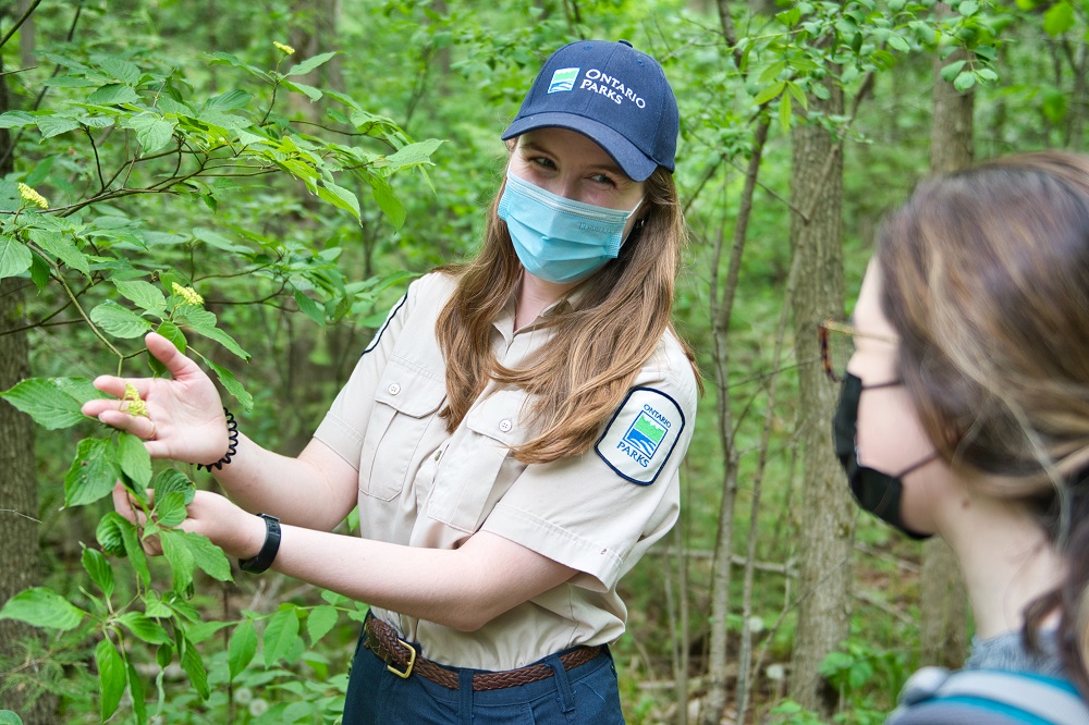 A masked staff member describes a plant species to a masked visitor