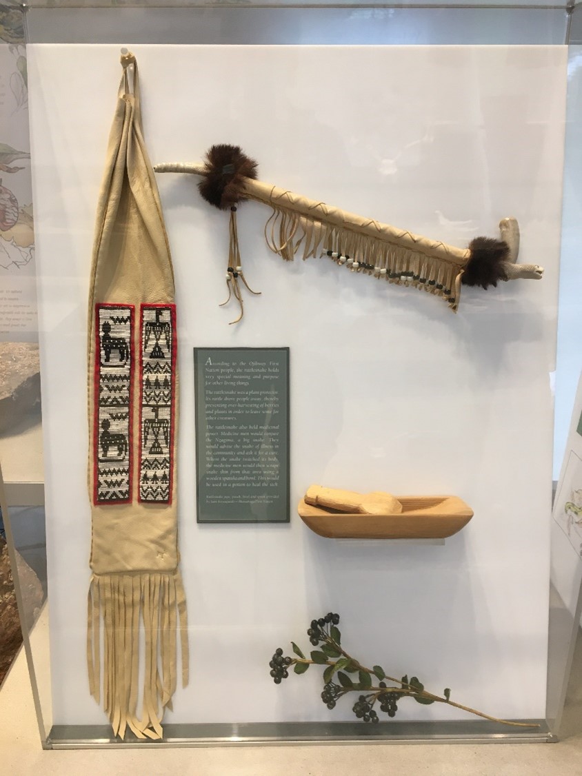 items in discovery centre