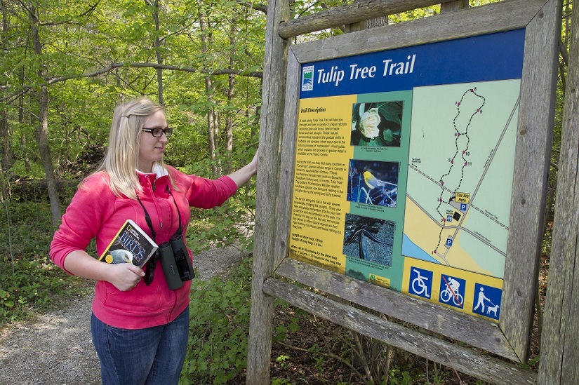 Visitor looking at trail sign. 