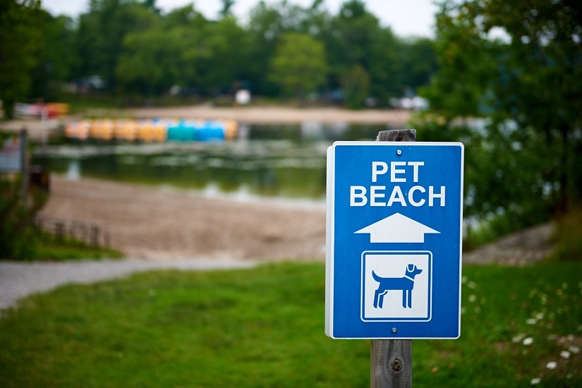 Pet beach sign with beach in background.
