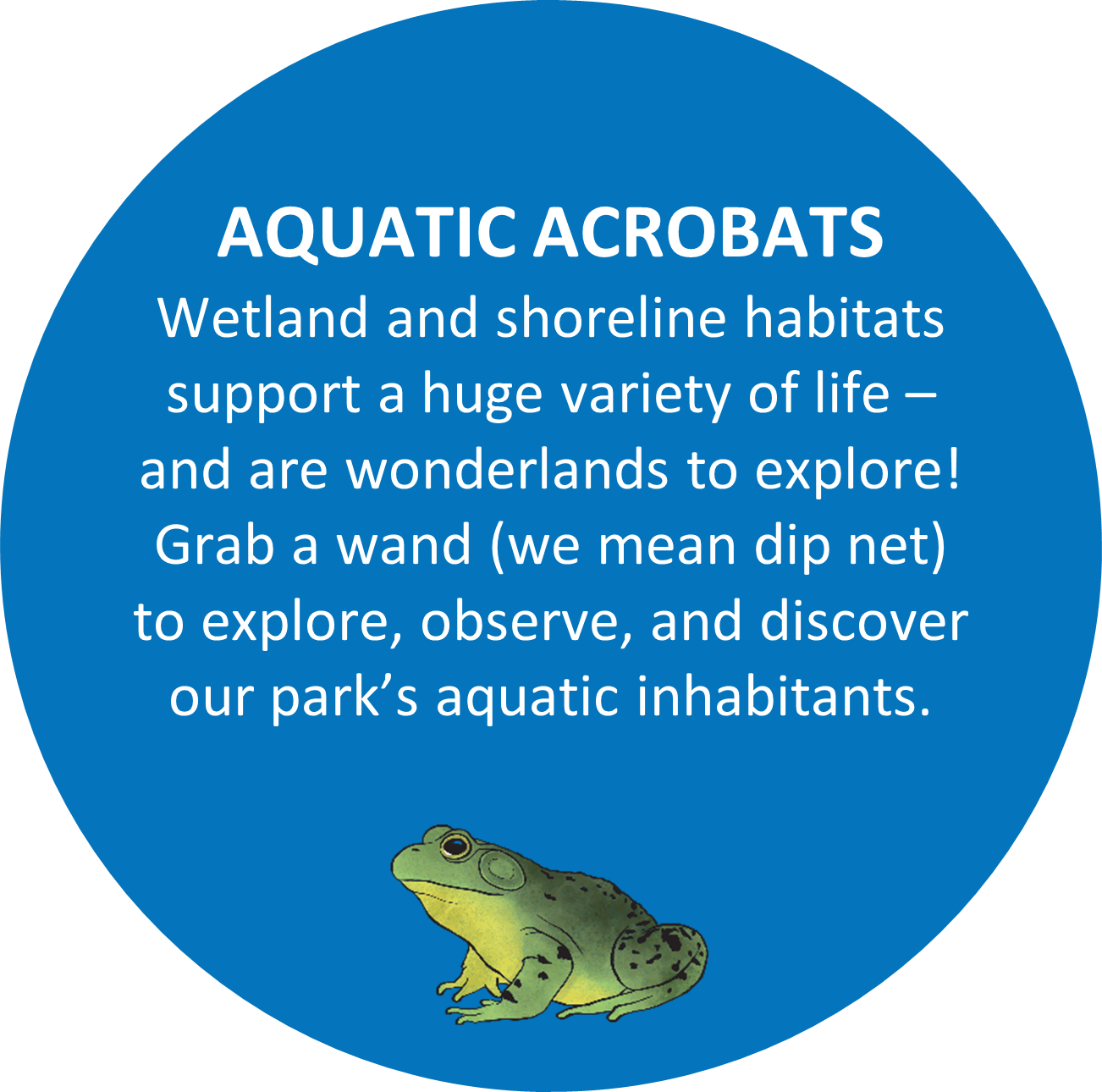 AQUATIC ACROBATS Wetland and shoreline habitats support a huge variety of life – and are wonderlands to explore! Grab a wand, we mean dip net, to explore, observe, and discover our park’s aquatic inhabitants.