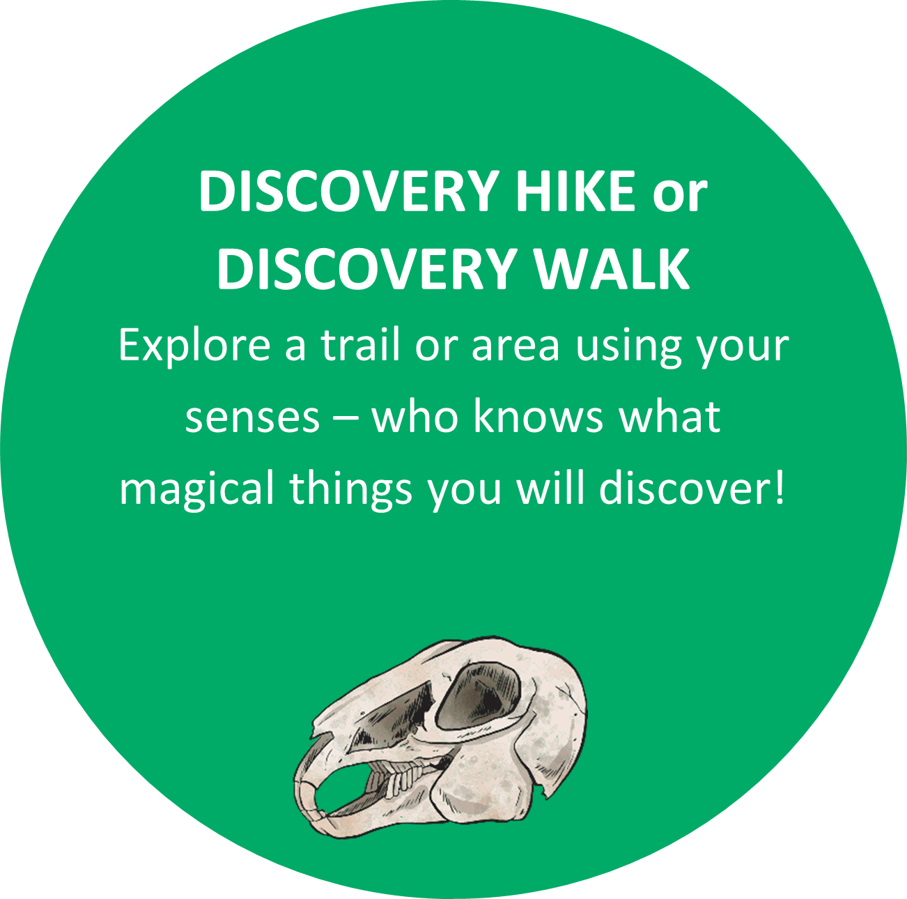 Text: DISCOVERY HIKE or DISCOVERY WALK Explore a trail or area using your senses – who knows what magical things you will discover! 