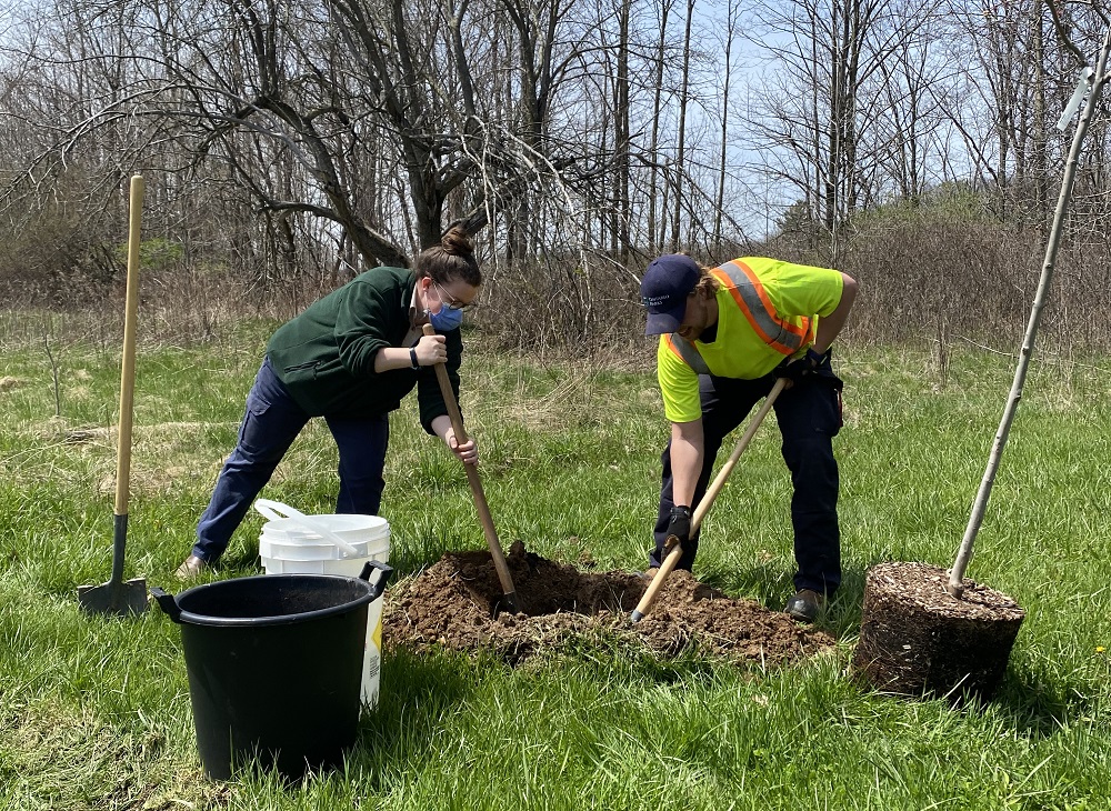 deux employés creusant un trou