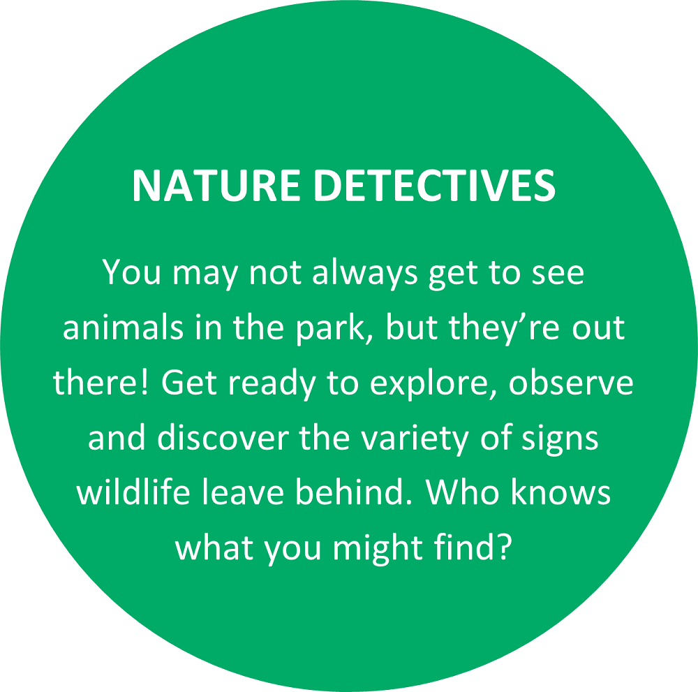 Text: NATURE DETECTIVES You may not always get to see animals in the park, but they’re out there! Get ready to explore, observe and discover the variety of signs wildlife leave behind. Who knows what you might find?