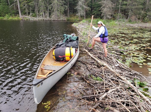 A person standing on a beaver dam with a canoe paddle next to their canoe, which is in the water with a backpack inside.