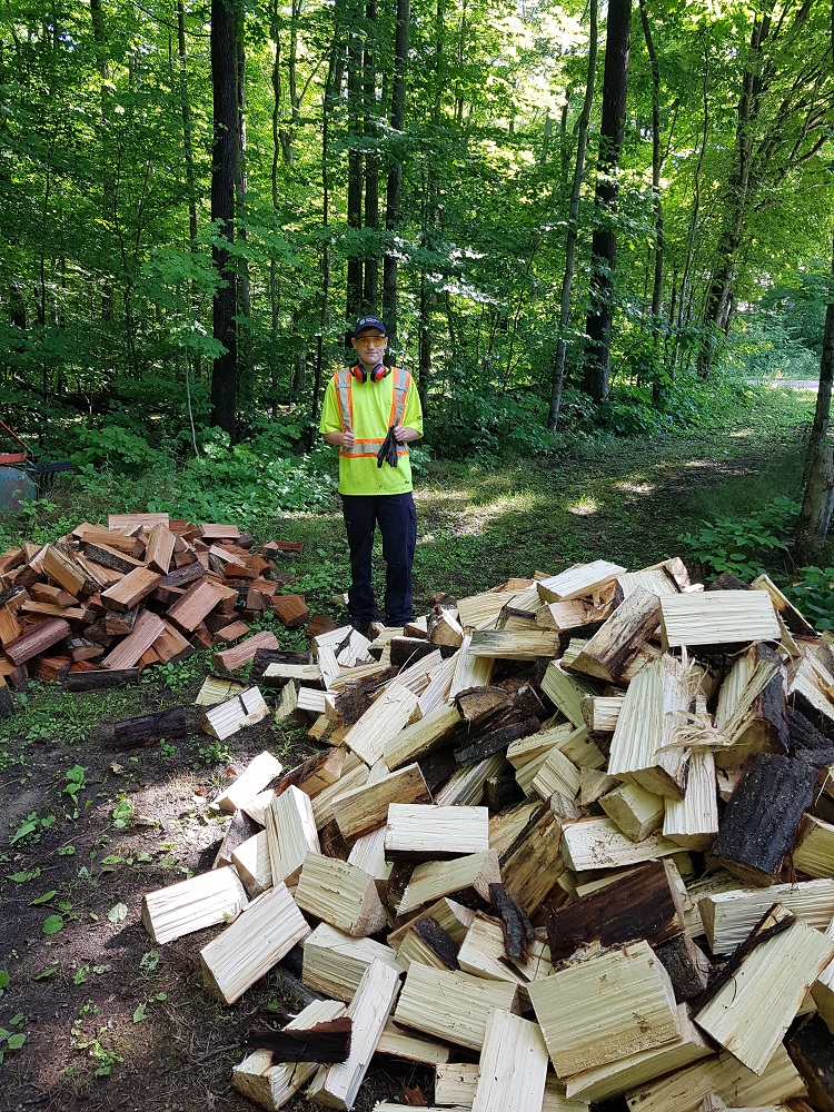 staff next to chopped wood